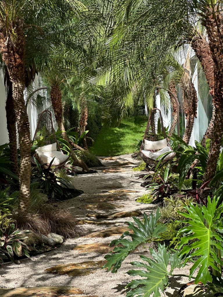 Jardín tropical del conjunto